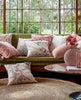 Cushions and Cushion Covers