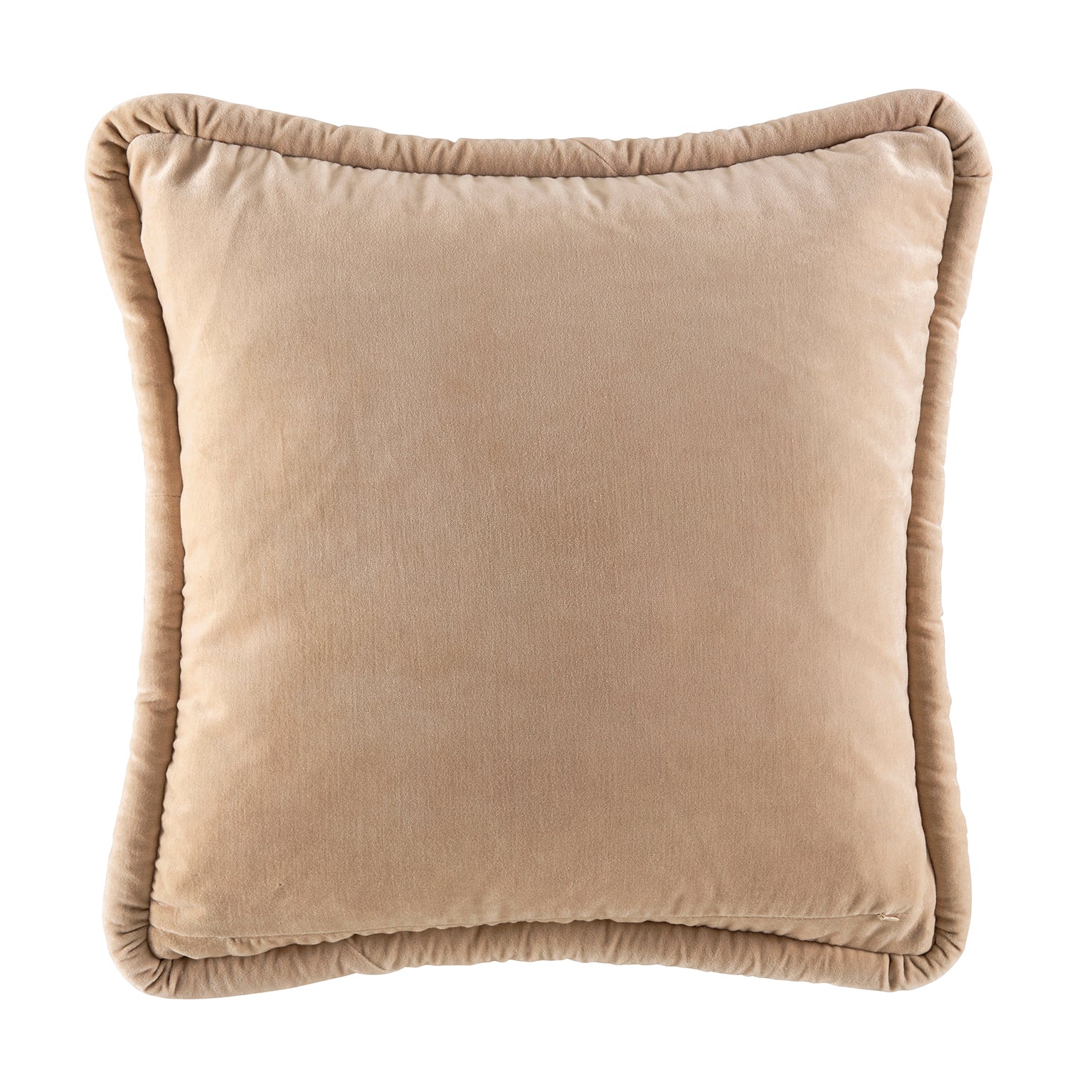 Pascale Cushion